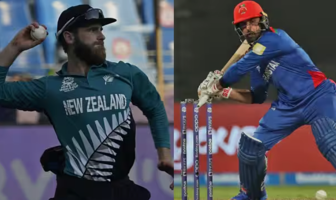 Afghanistan National Cricket Team Vs New Zealand National Cricket Team Stats